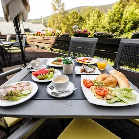 Parkhotel 3* Harrachov