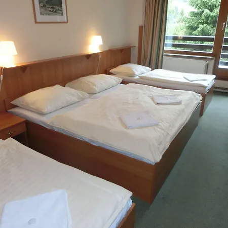 Parkhotel 3* Harrachov