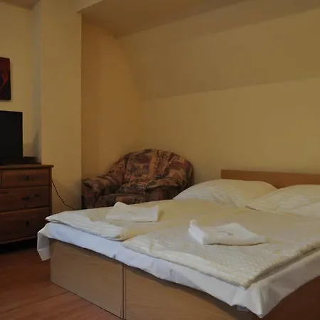 Parkhotel 3* Harrachov