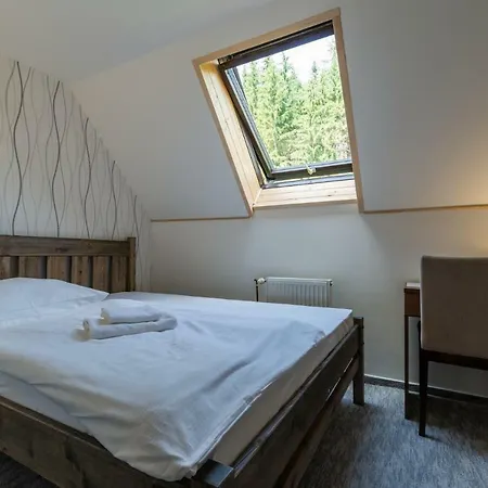 Parkhotel 3* Harrachov