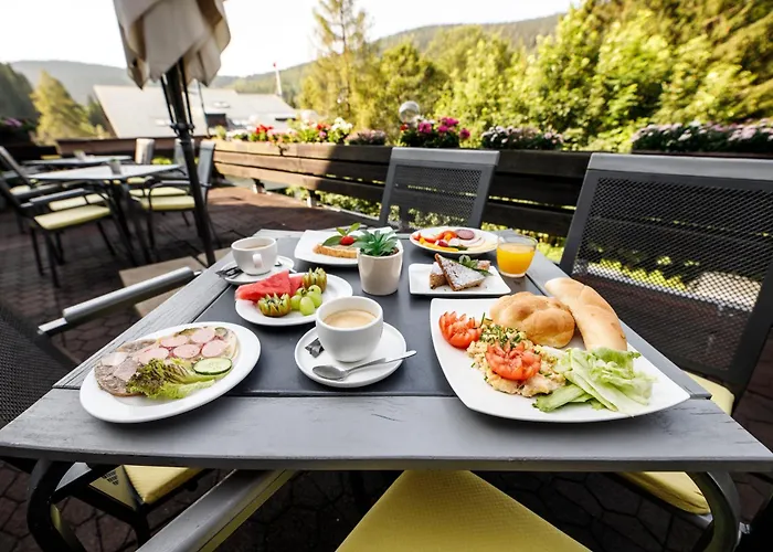 Parkhotel 3* Harrachov