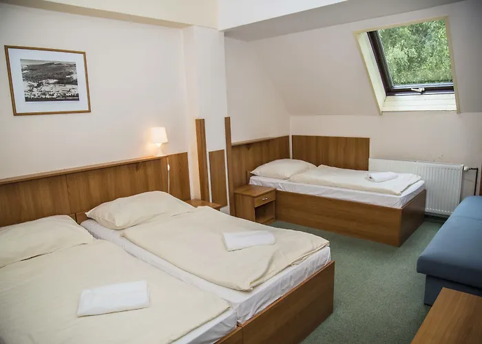 Hotel Parkhotel Harrachov