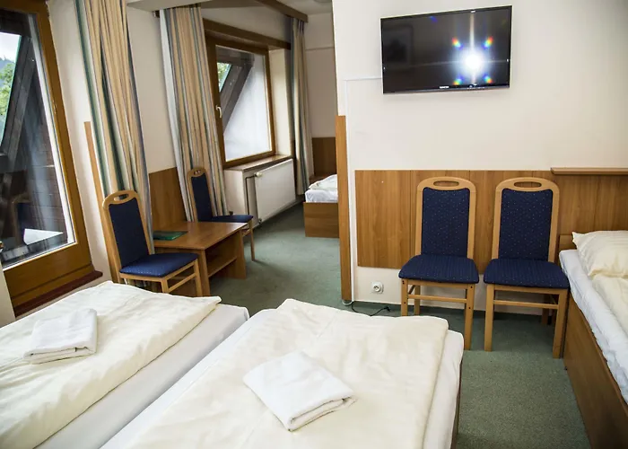 Parkhotel 3* Harrachov