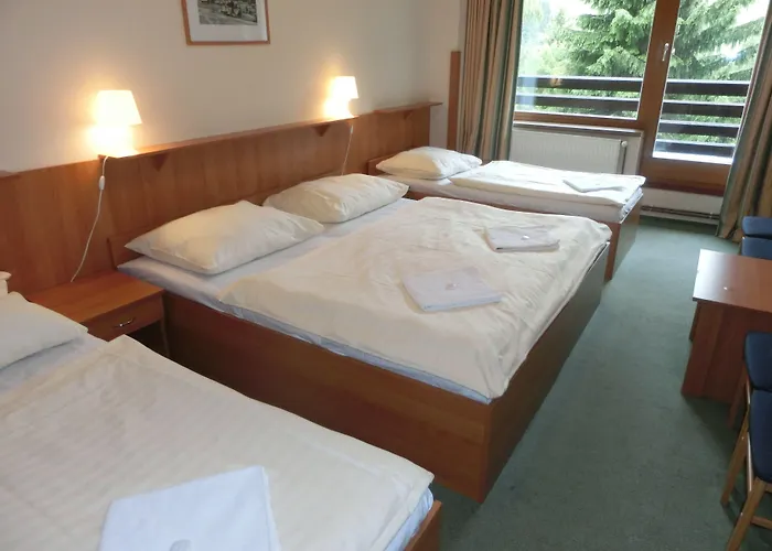 Parkhotel 3* Harrachov