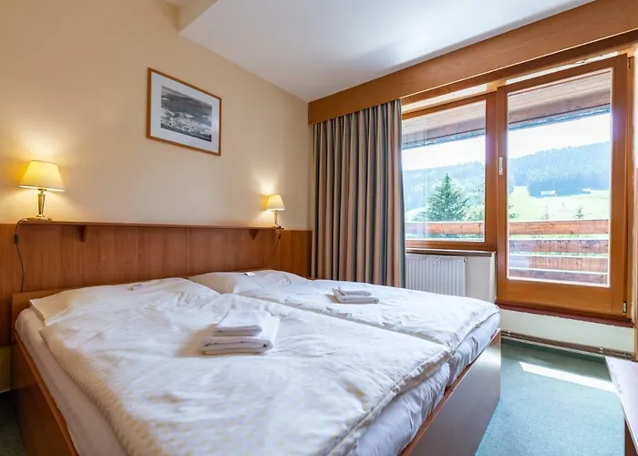 Otel Parkhotel Harrachov